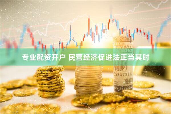 专业配资开户 民营经济促进法正当其时