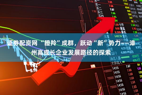 证劵配资网 “瞪羚”成群，跃动“新”势力——漳州高成长企业发展路径的探索