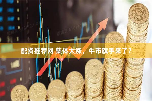 配资推荐网 集体大涨，牛市旗手来了？