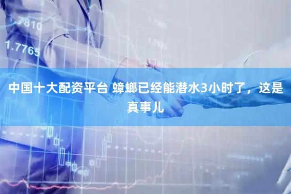 中国十大配资平台 蟑螂已经能潜水3小时了，这是真事儿