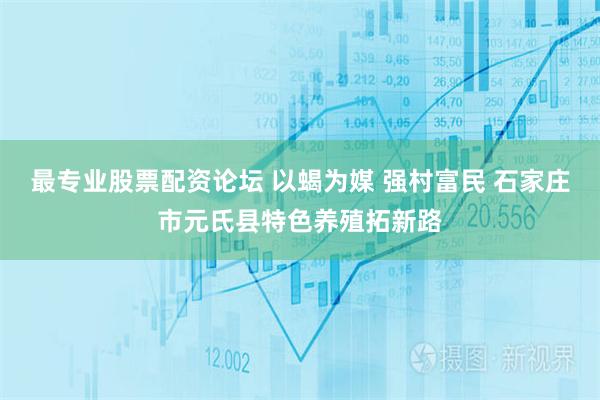 最专业股票配资论坛 以蝎为媒 强村富民 石家庄市元氏县特色养殖拓新路